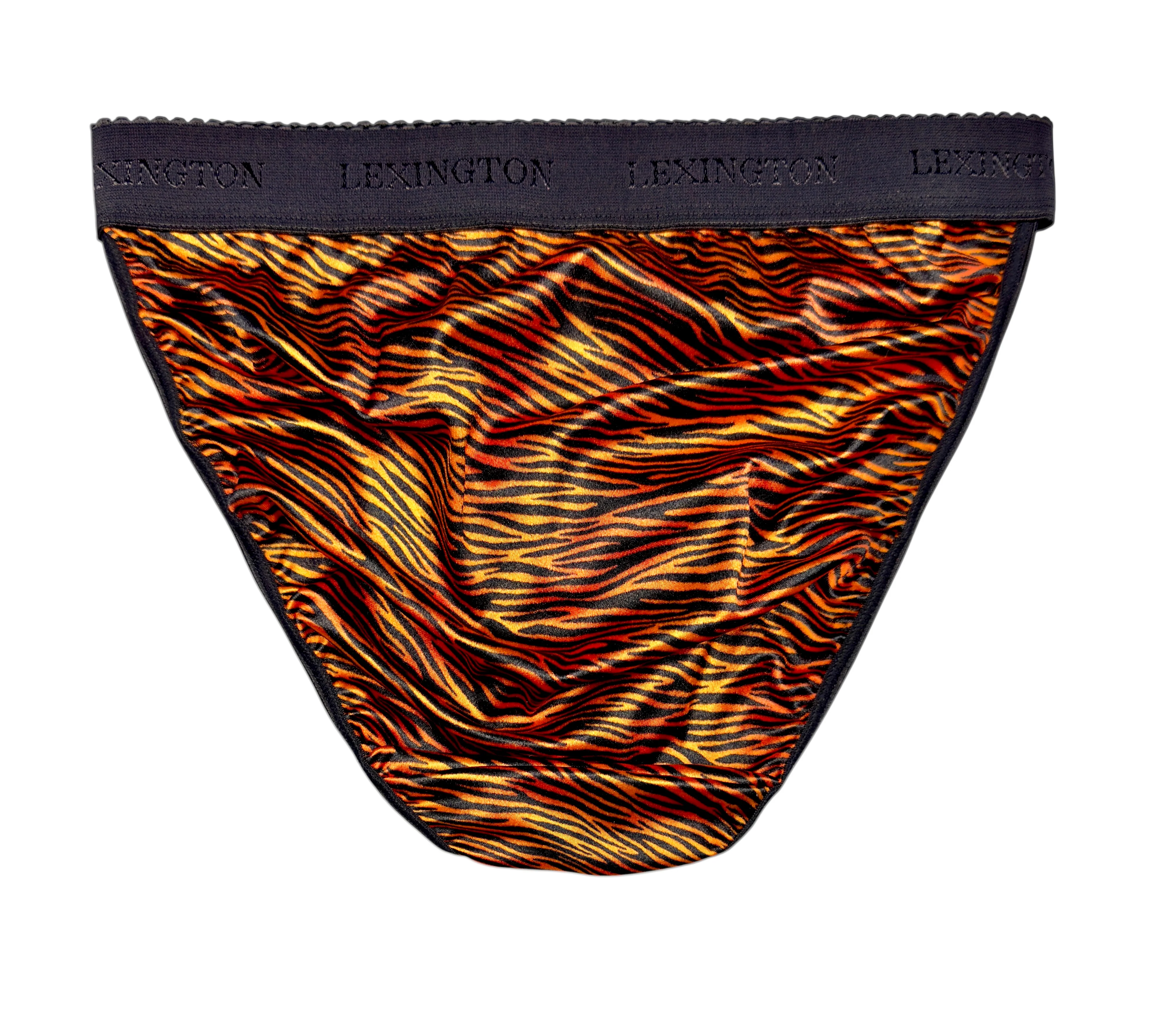 Rio Signature Waistband Panty - Image 4